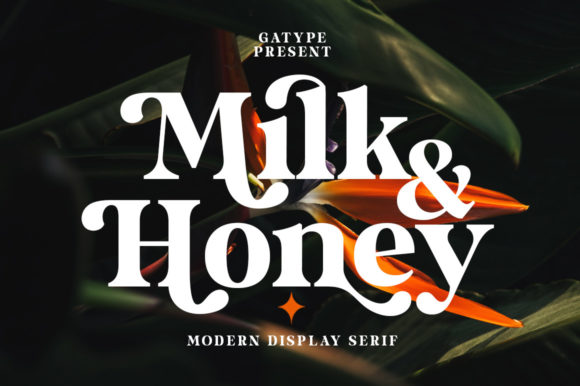 Why Milk and Honey is the Bold Serif Font Your Brand Needs